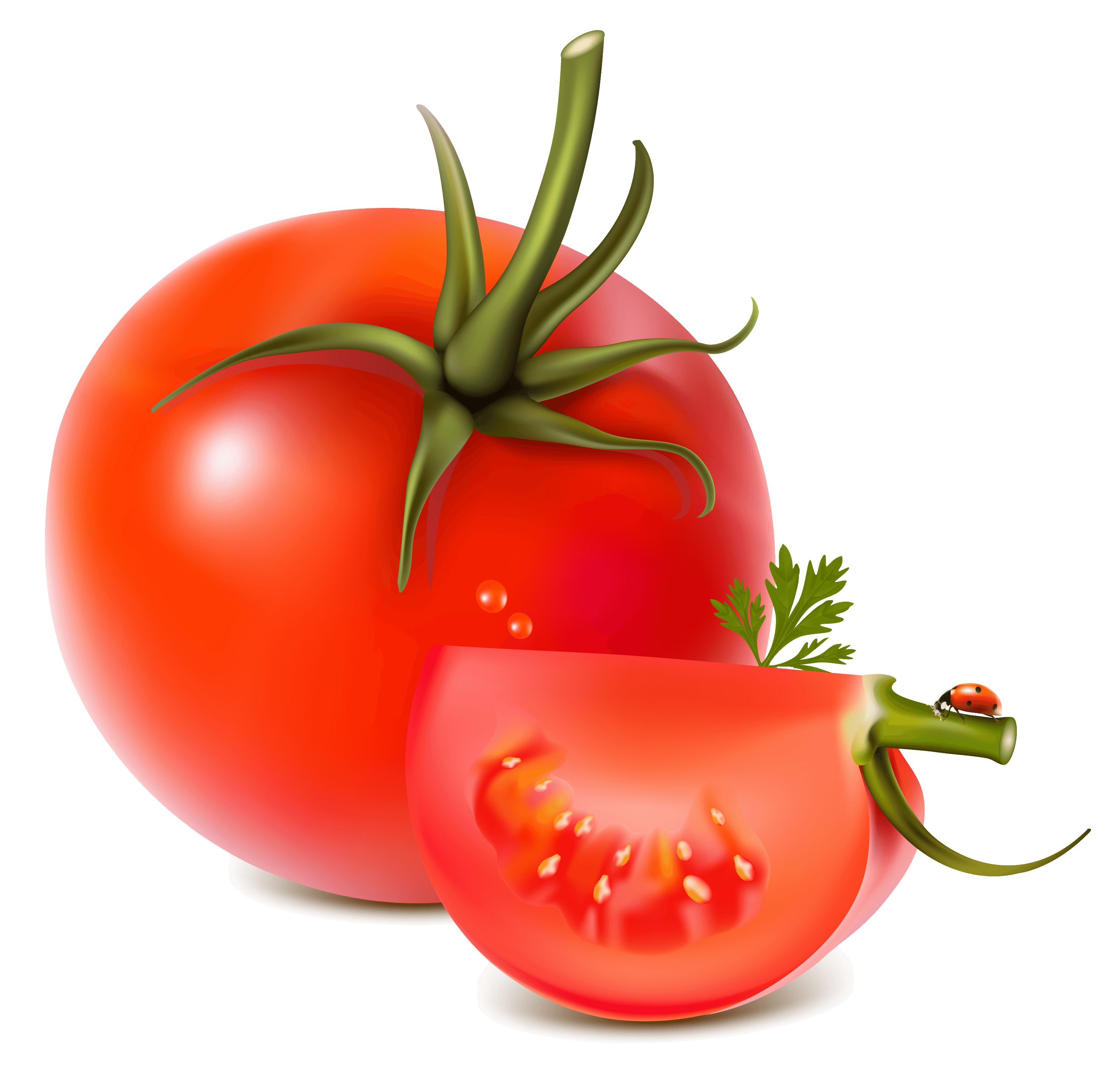 Tomato Png Image PNG Image