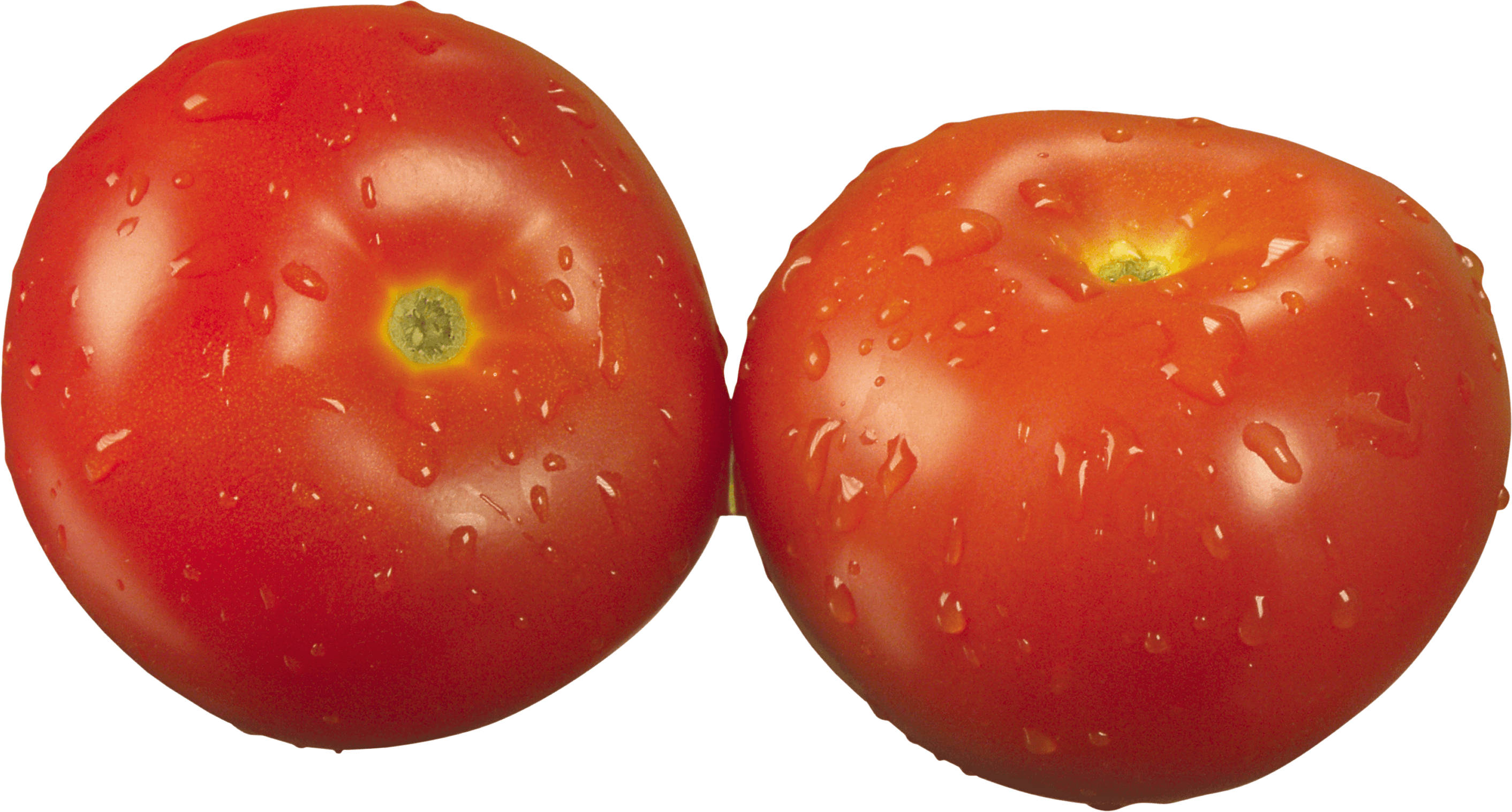 Tomato Png Image PNG Image