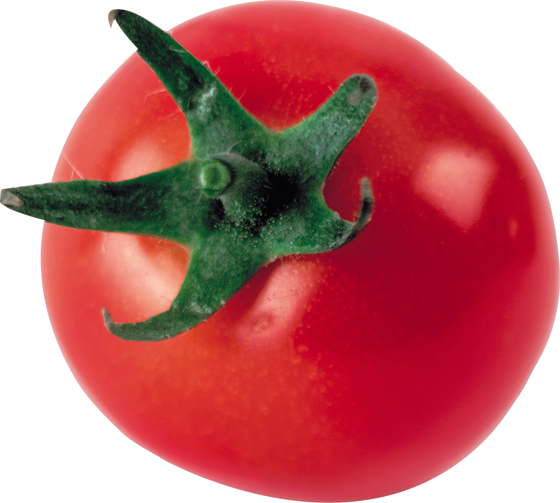 Tomato Png Image PNG Image