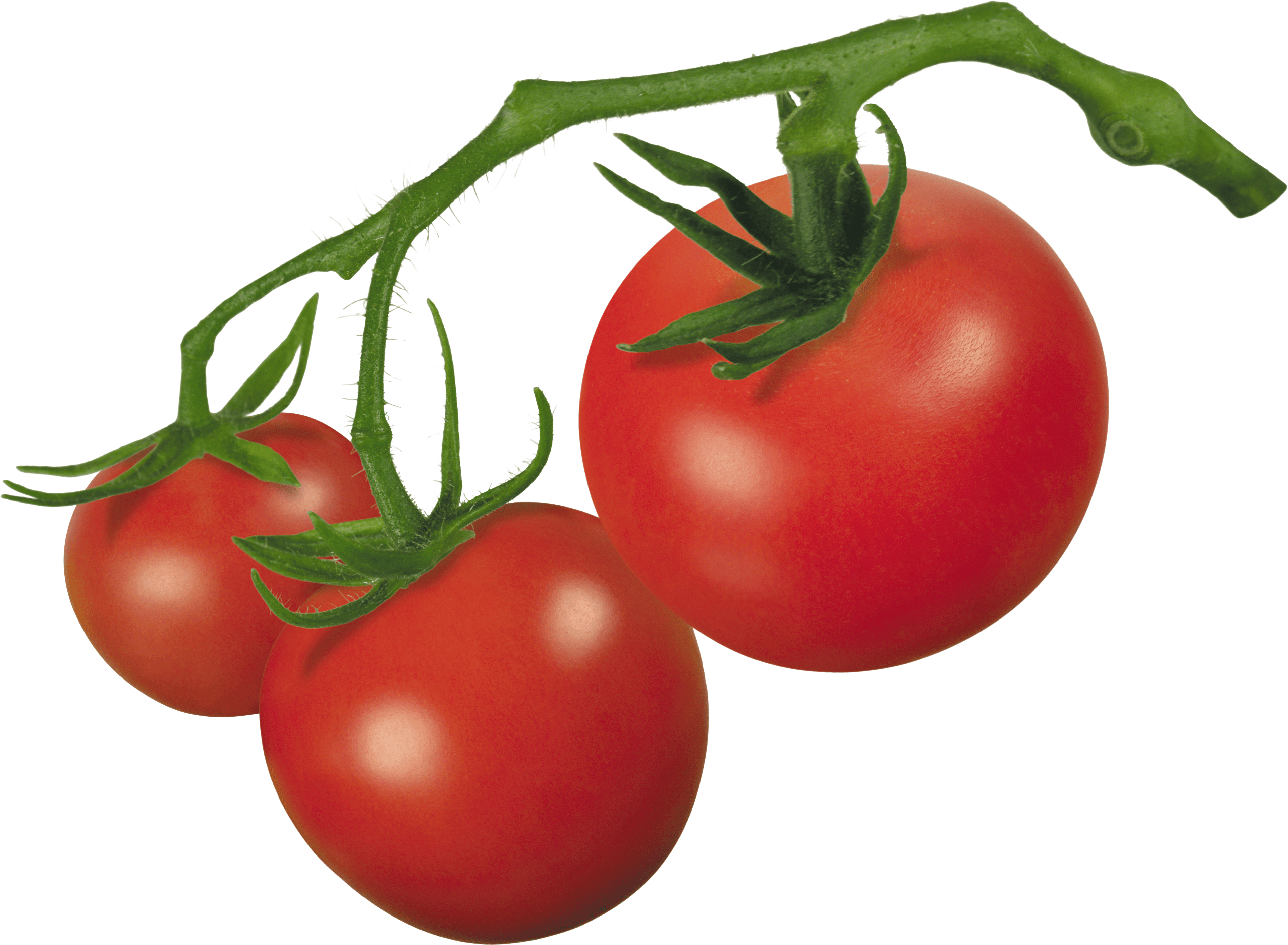 Tomato Png Image PNG Image