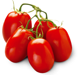 Tomato Png Image Picture Download PNG Image