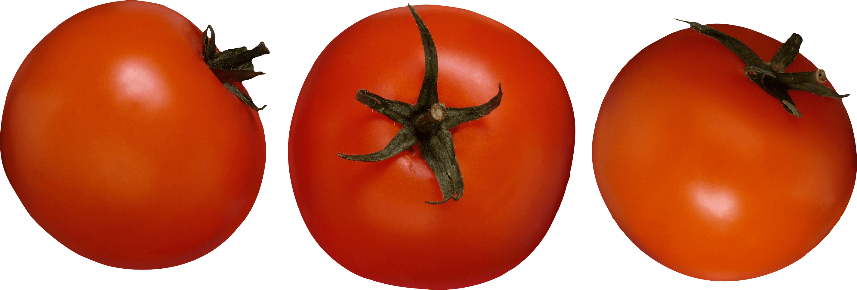 Tomato Png Image PNG Image