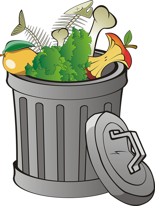 Trash Pic PNG Free Photo PNG Image