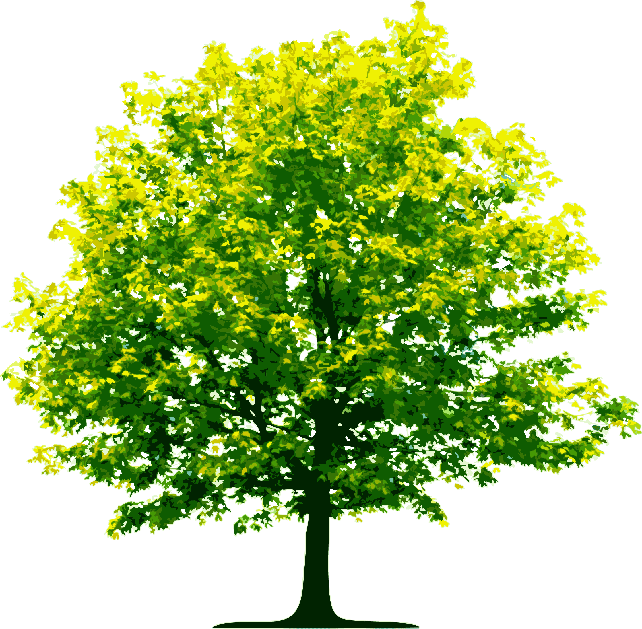 Tree Png Image Download Picture PNG Image