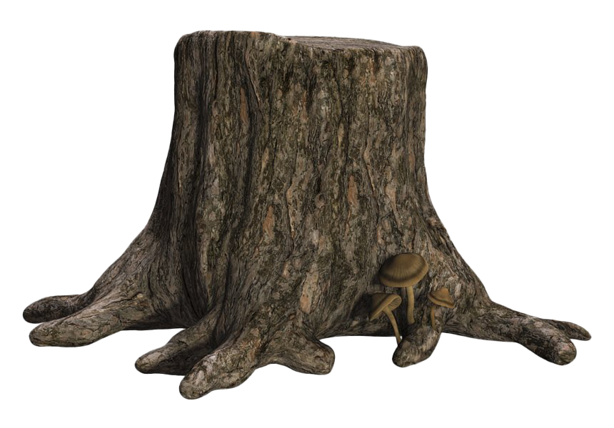 Tree Stump Photos Trunk Free Download Image PNG Image