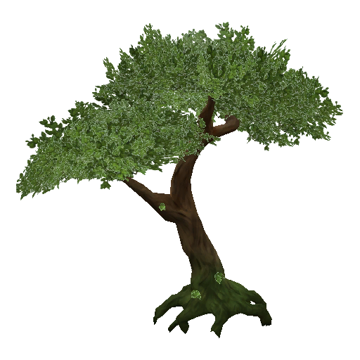 Jungle Tree Transparent PNG Image