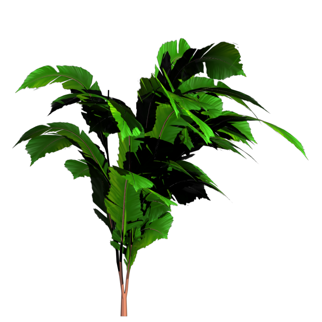 Jungle Tree Transparent Image PNG Image