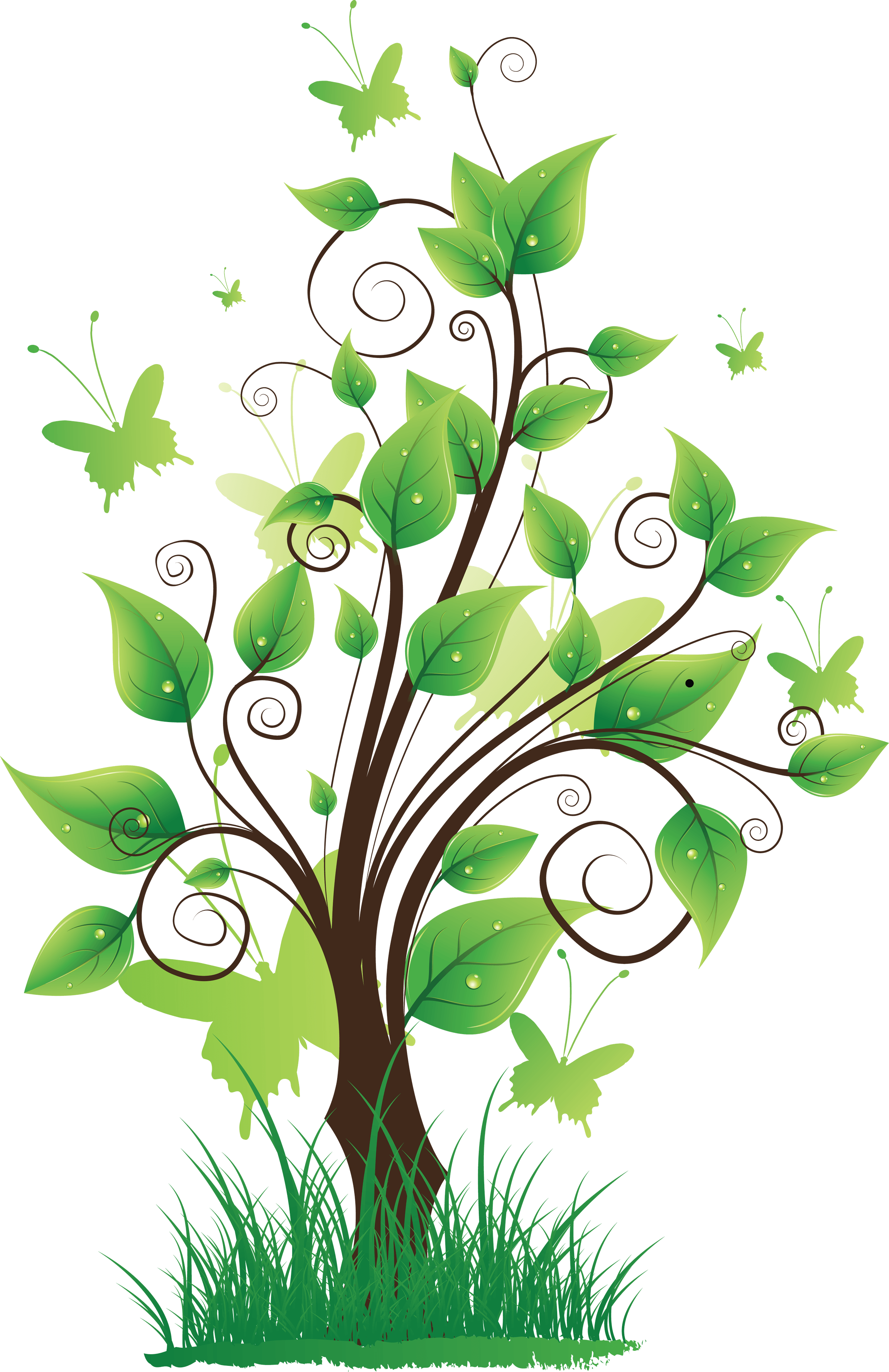 Tree Png Image PNG Image