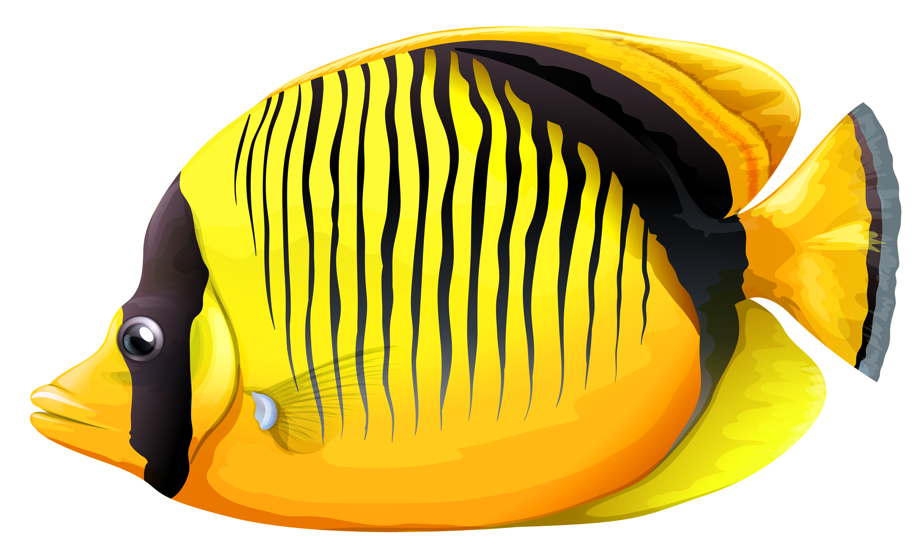 Fish Png 14 PNG Image