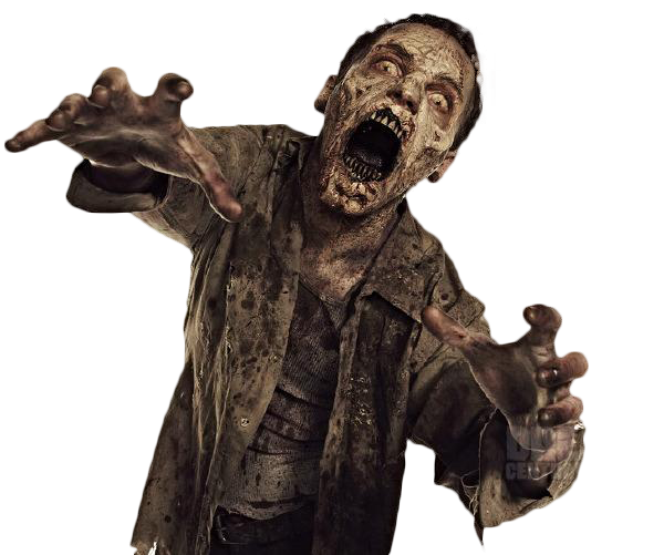 Twd Transparent PNG Image