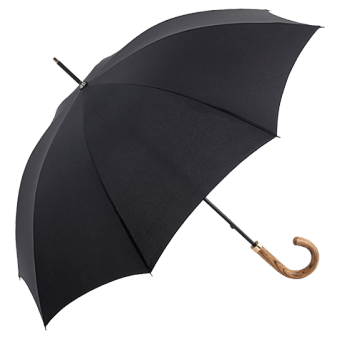 Umbrella Png Image PNG Image