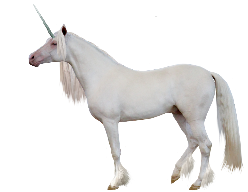 Unicorn Png Image PNG Image