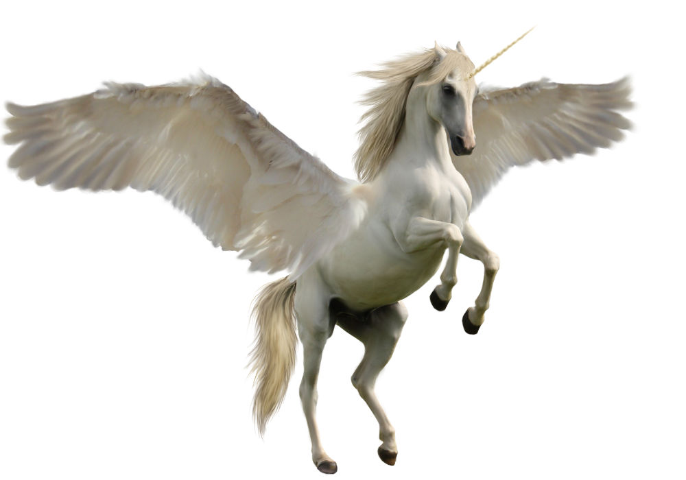 Unicorn Free Png Image PNG Image