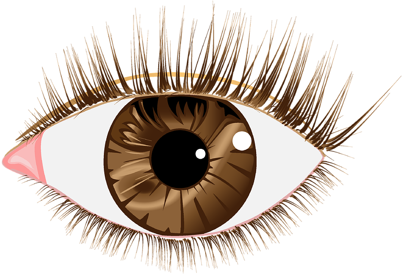 Eyes Vector Free Transparent Image HQ PNG Image