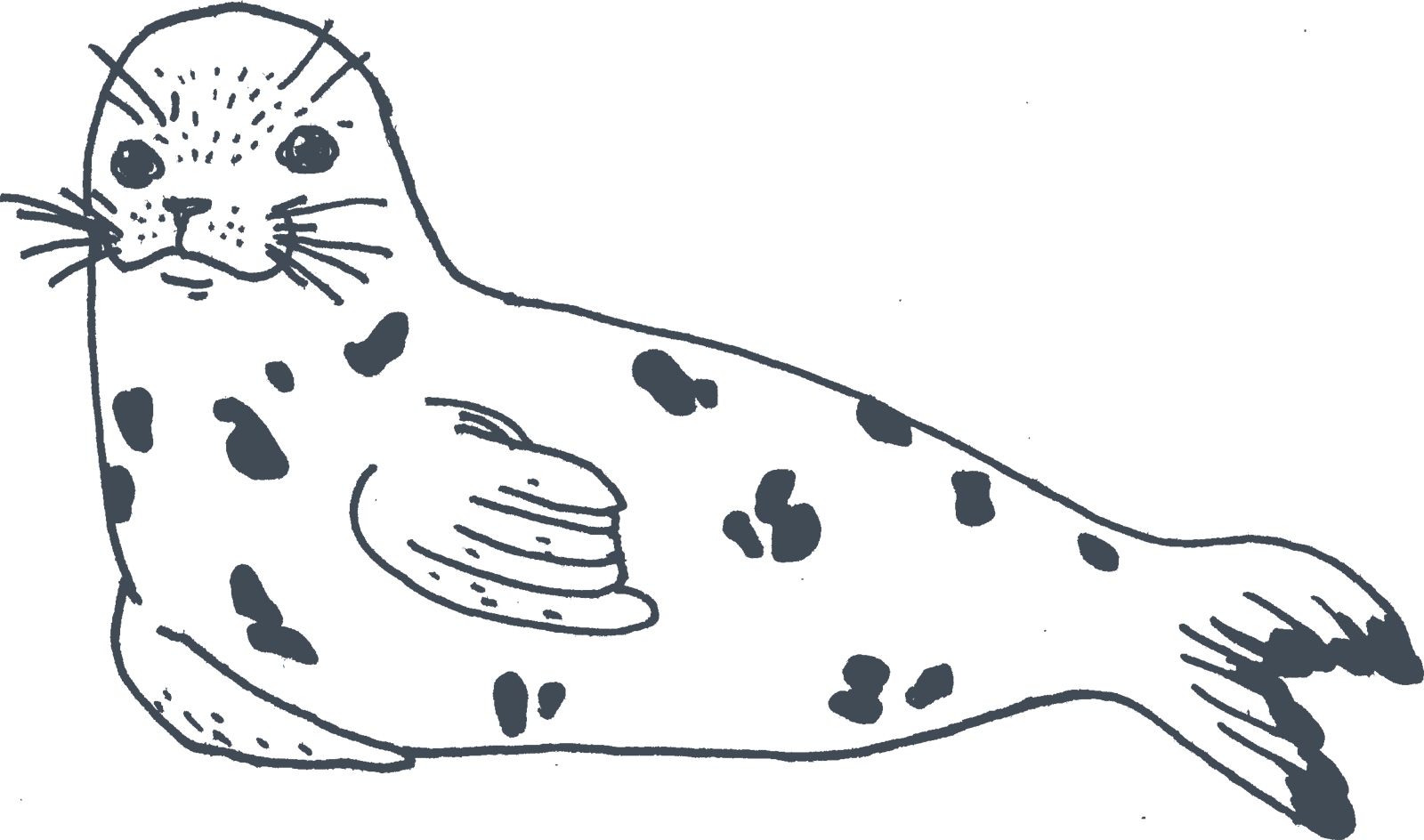 Harbor Vector Seal PNG File HD PNG Image