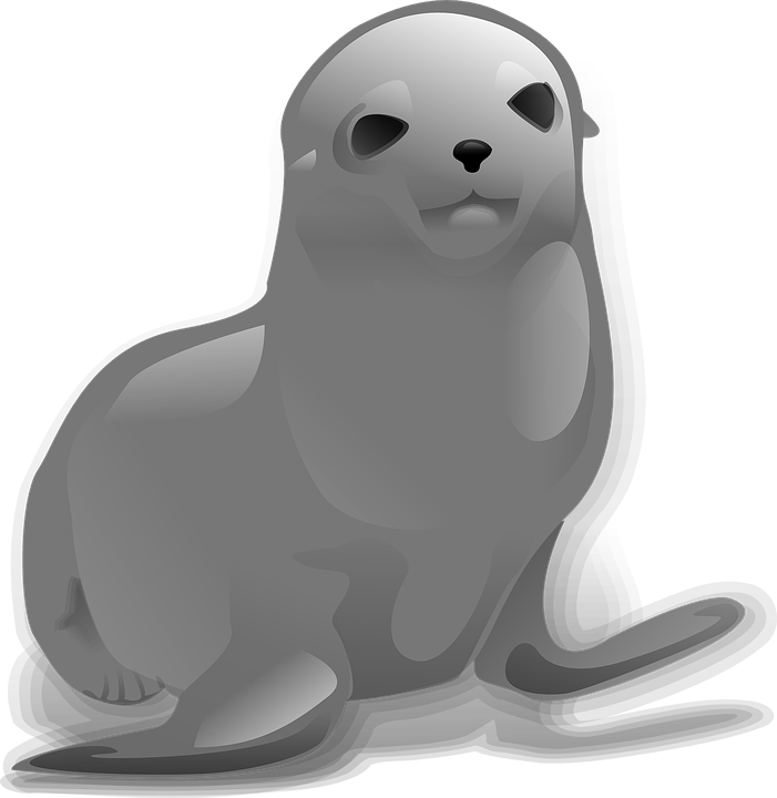 Harbor Vector Pic Seal Free PNG HQ PNG Image