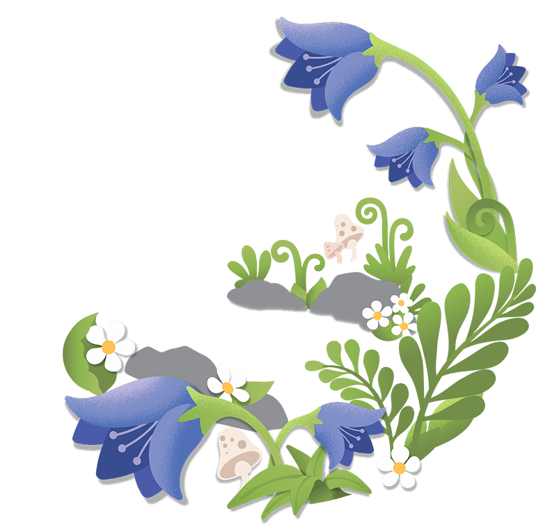 Vector Bluebells Download HD PNG Image