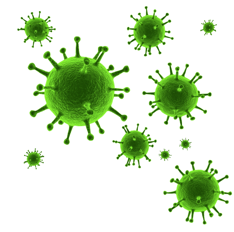 Virus Transparent PNG Image