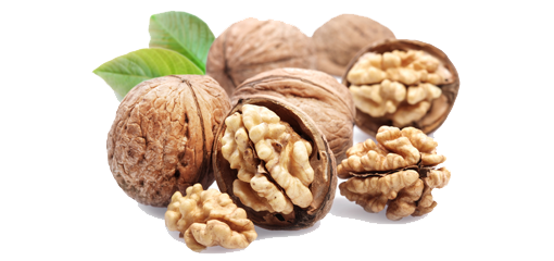 Walnut Png File PNG Image