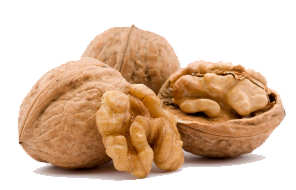 Walnut Free Png Image PNG Image