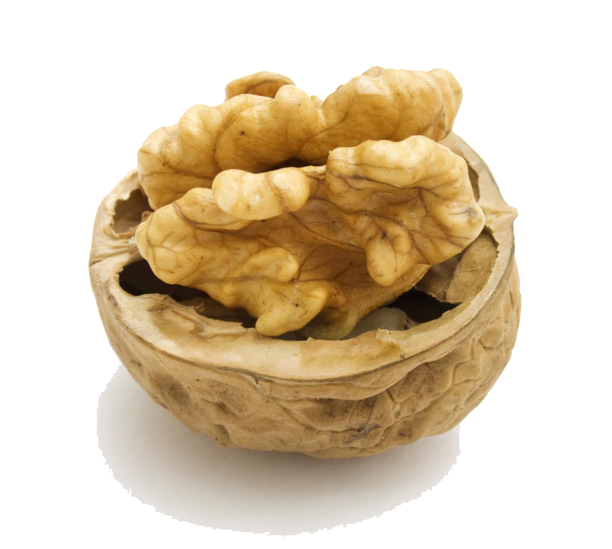 Walnut Png Hd PNG Image