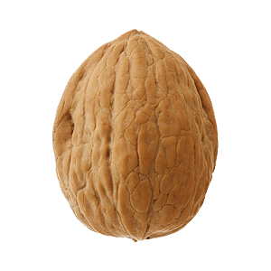 Walnut Free Download Png PNG Image