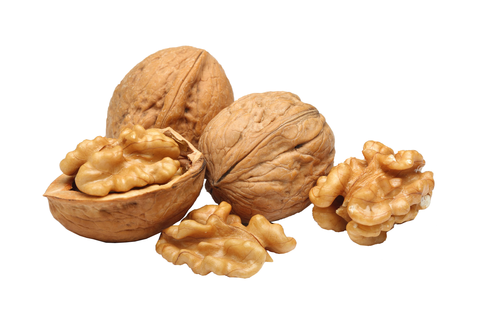 Walnut Transparent PNG Image