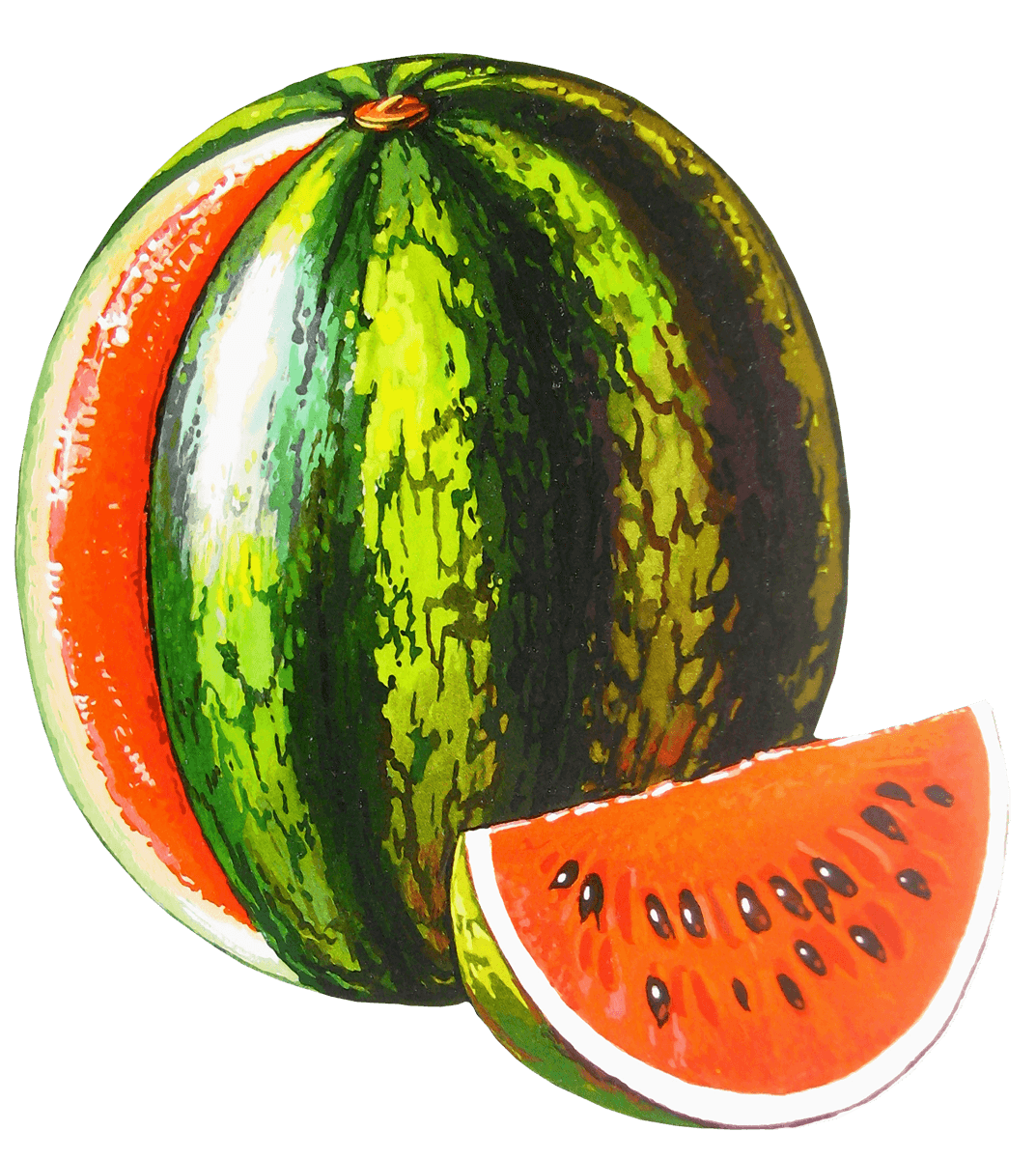 Watermelon Png Image PNG Image