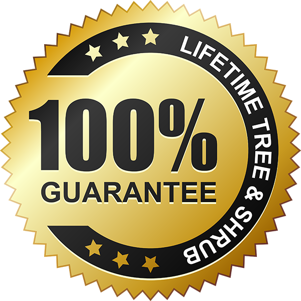 Guarantee Free Photo PNG PNG Image