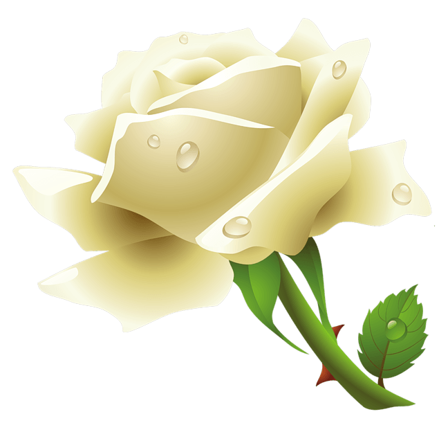 White Rose Png Image Flower White Rose Png Picture PNG Image