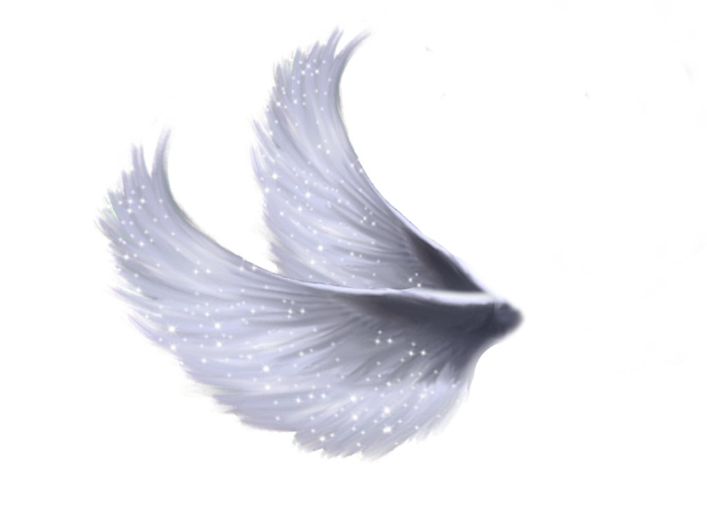 Wings File PNG Image