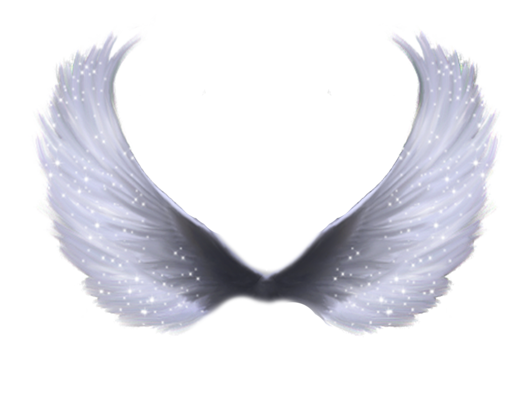 Wings PNG Image