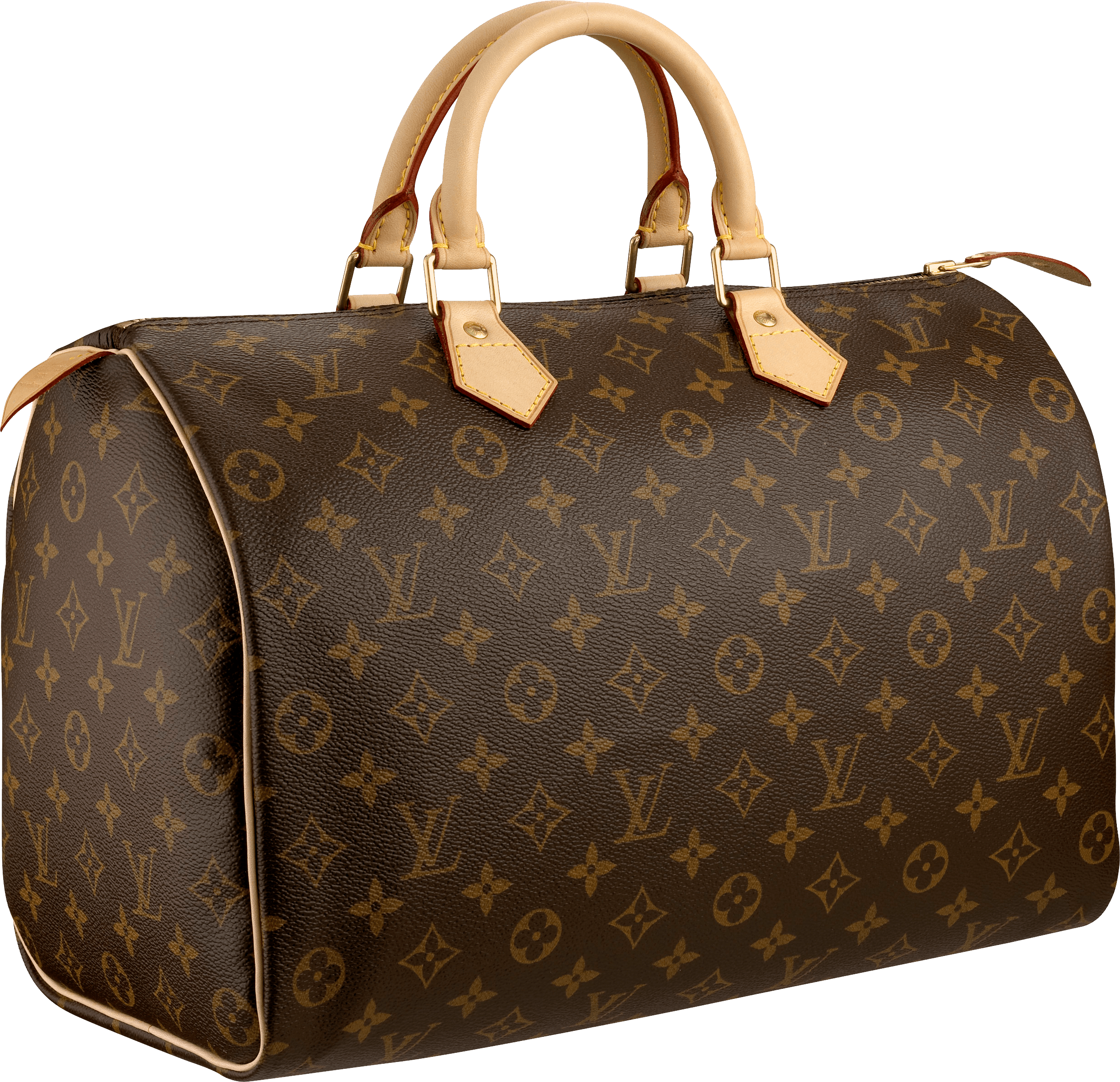 Louis Vuitton Women Bag Png Image PNG Image