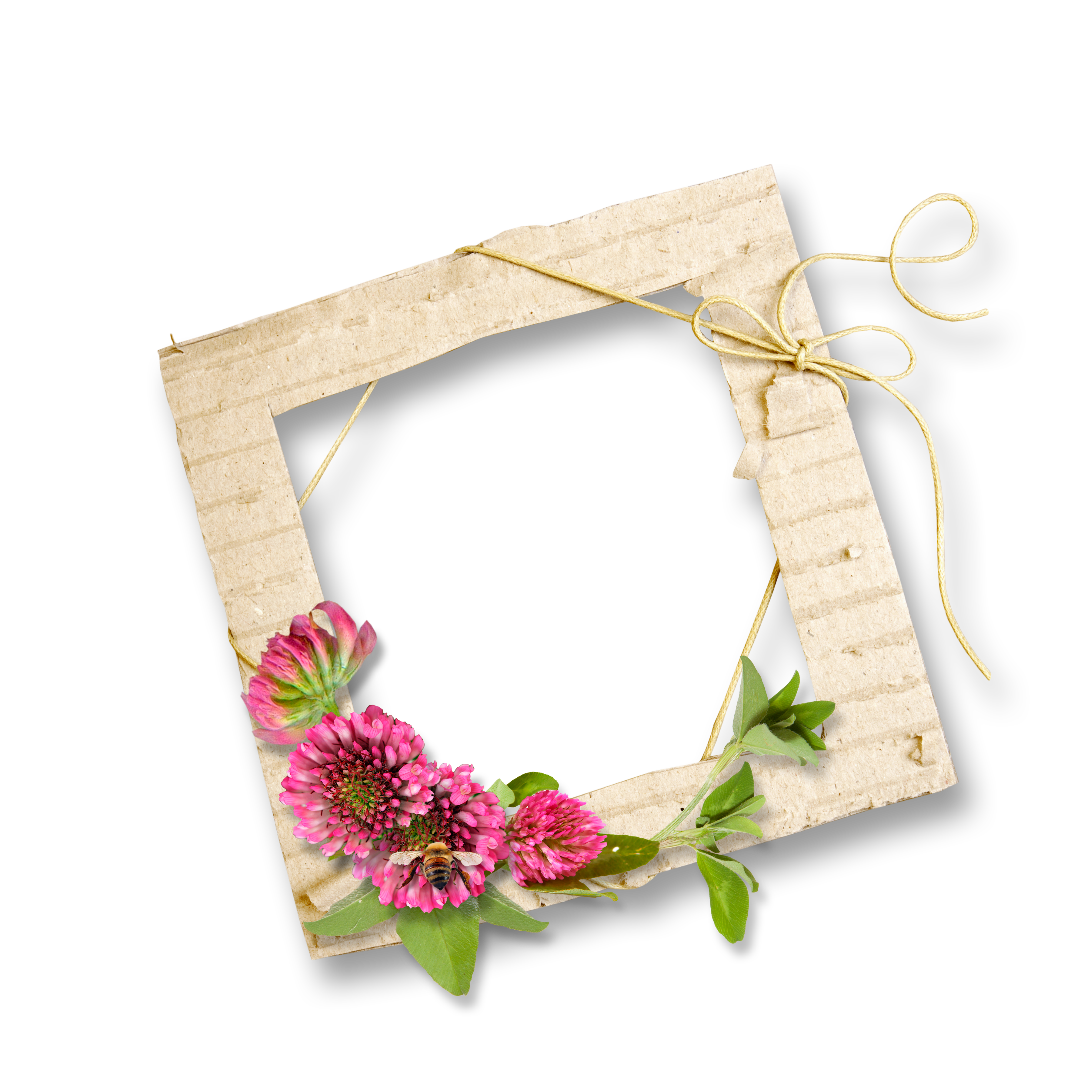 Picture Frame Wood Framing Free Transparent Image HD PNG Image