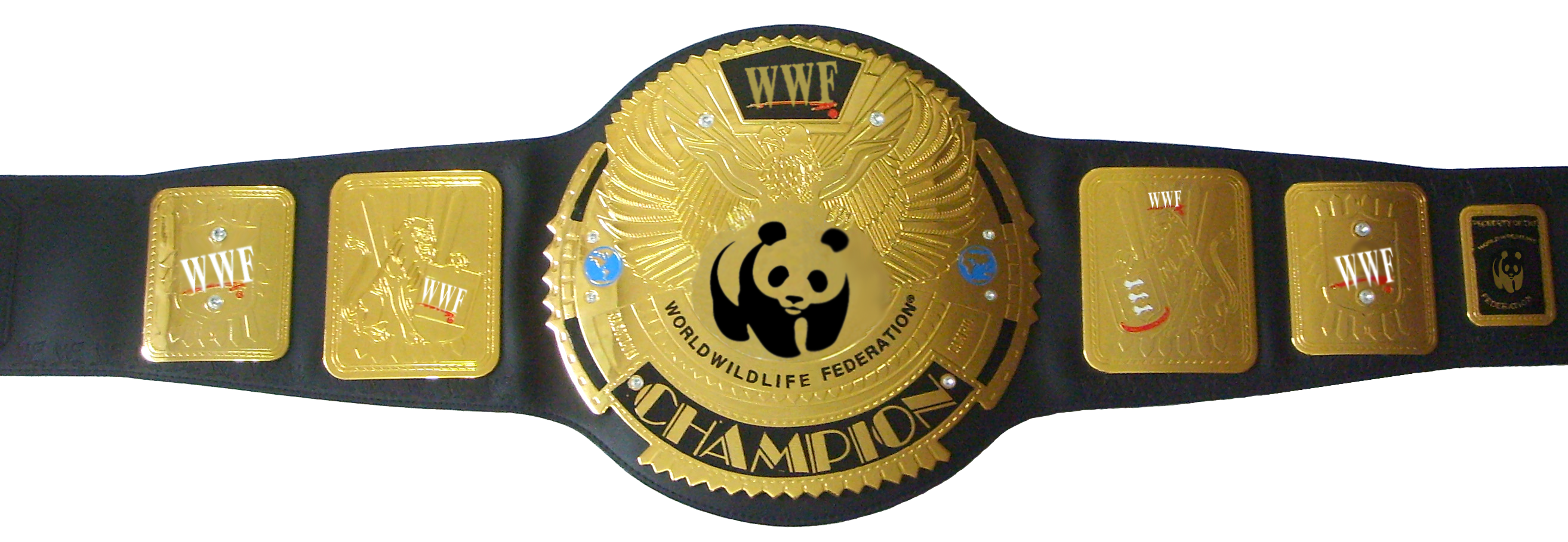 Wrestling Belt Transparent Background PNG Image