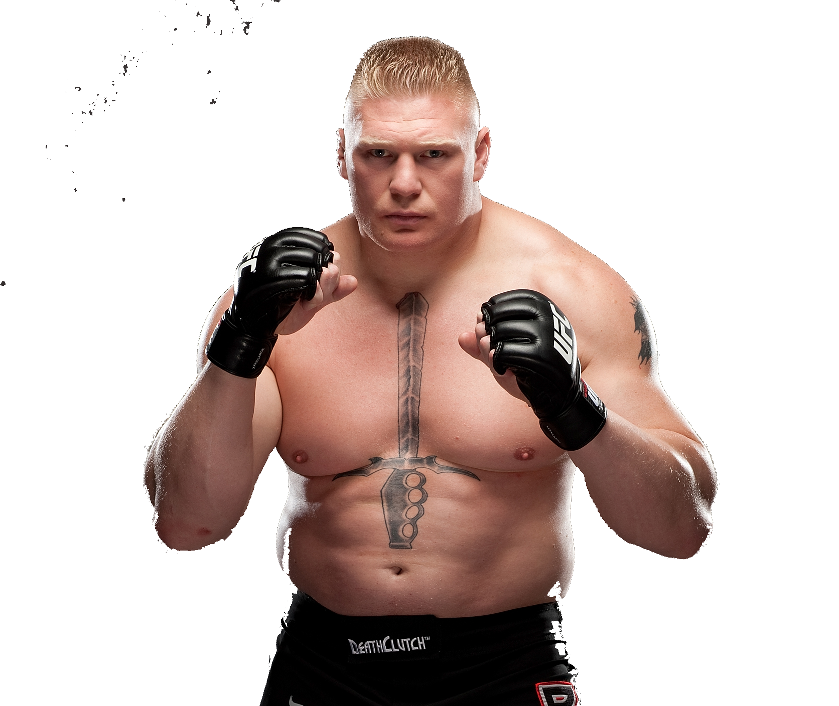 Brock Lesnar Photos PNG Image