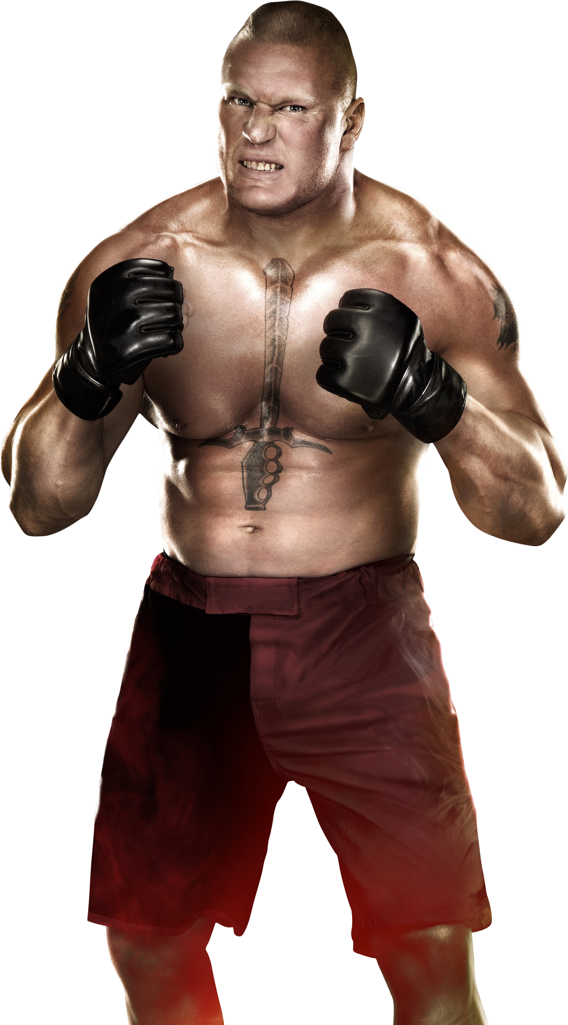 Brock Lesnar Photo PNG Image