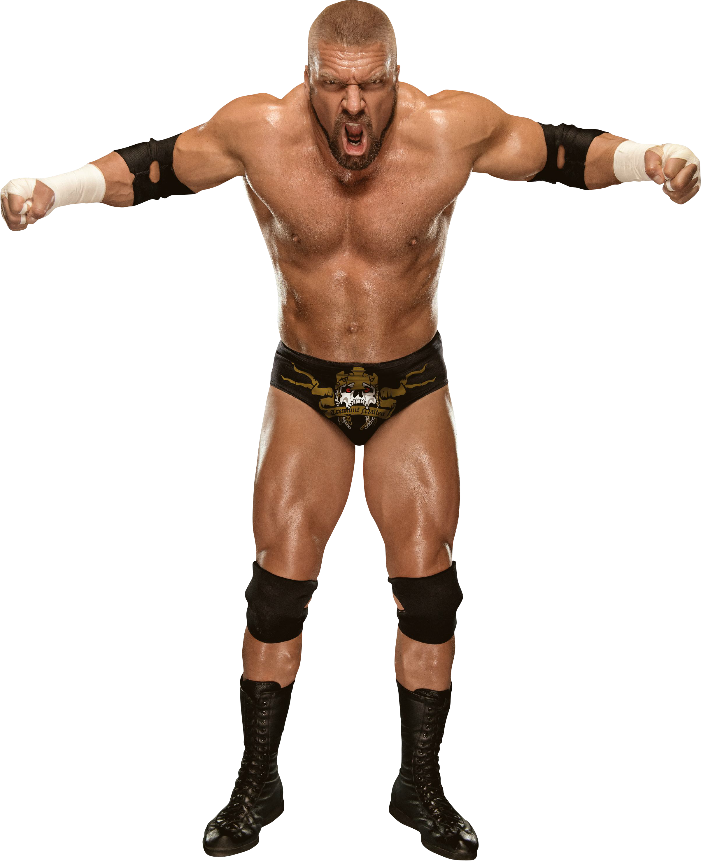 Triple H Transparent Image PNG Image