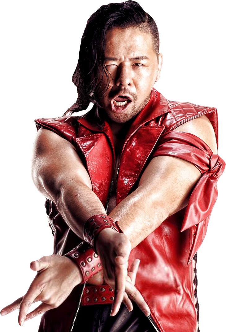 Hiroshi Tanahashi File PNG Image