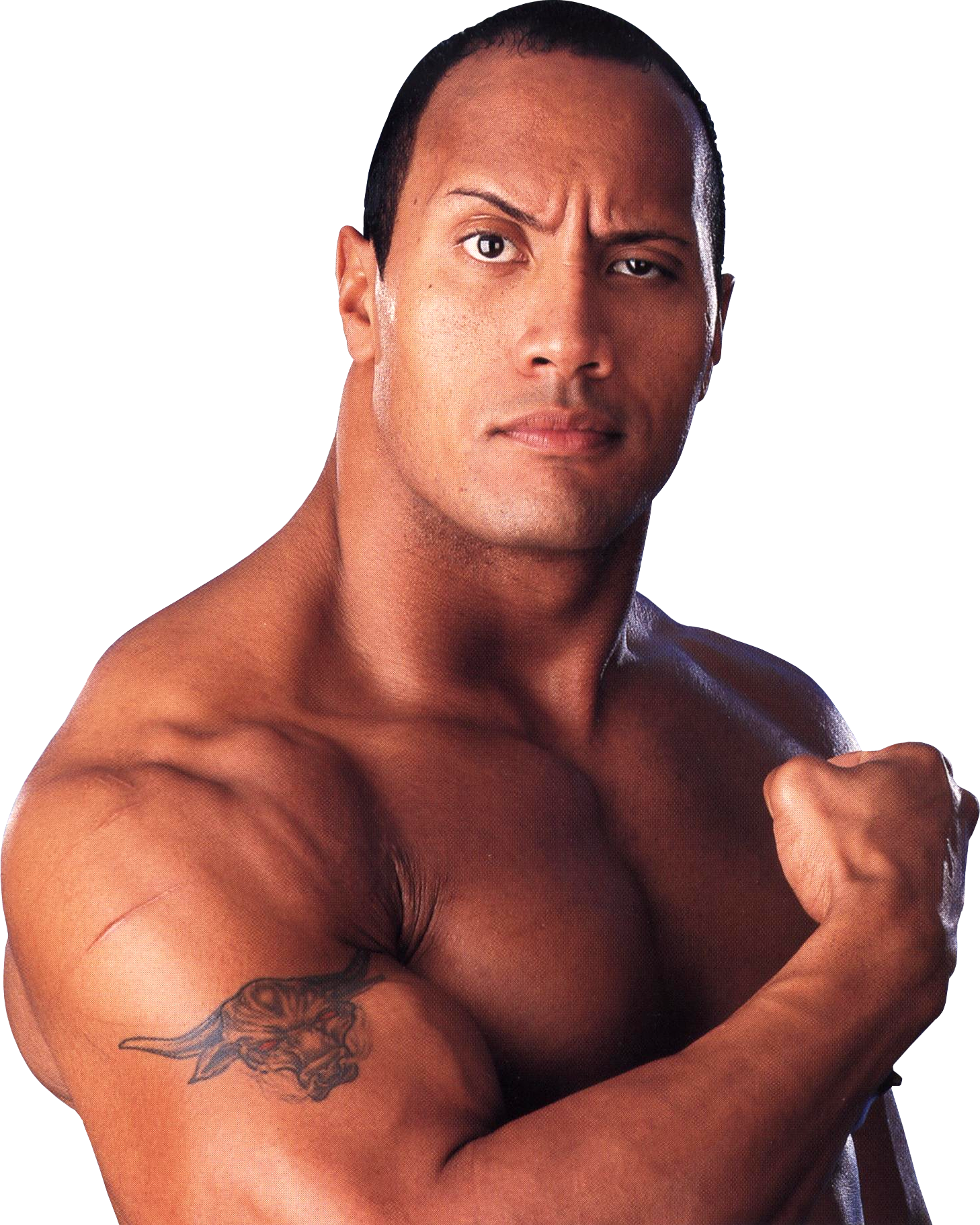 The Rock Transparent Image PNG Image