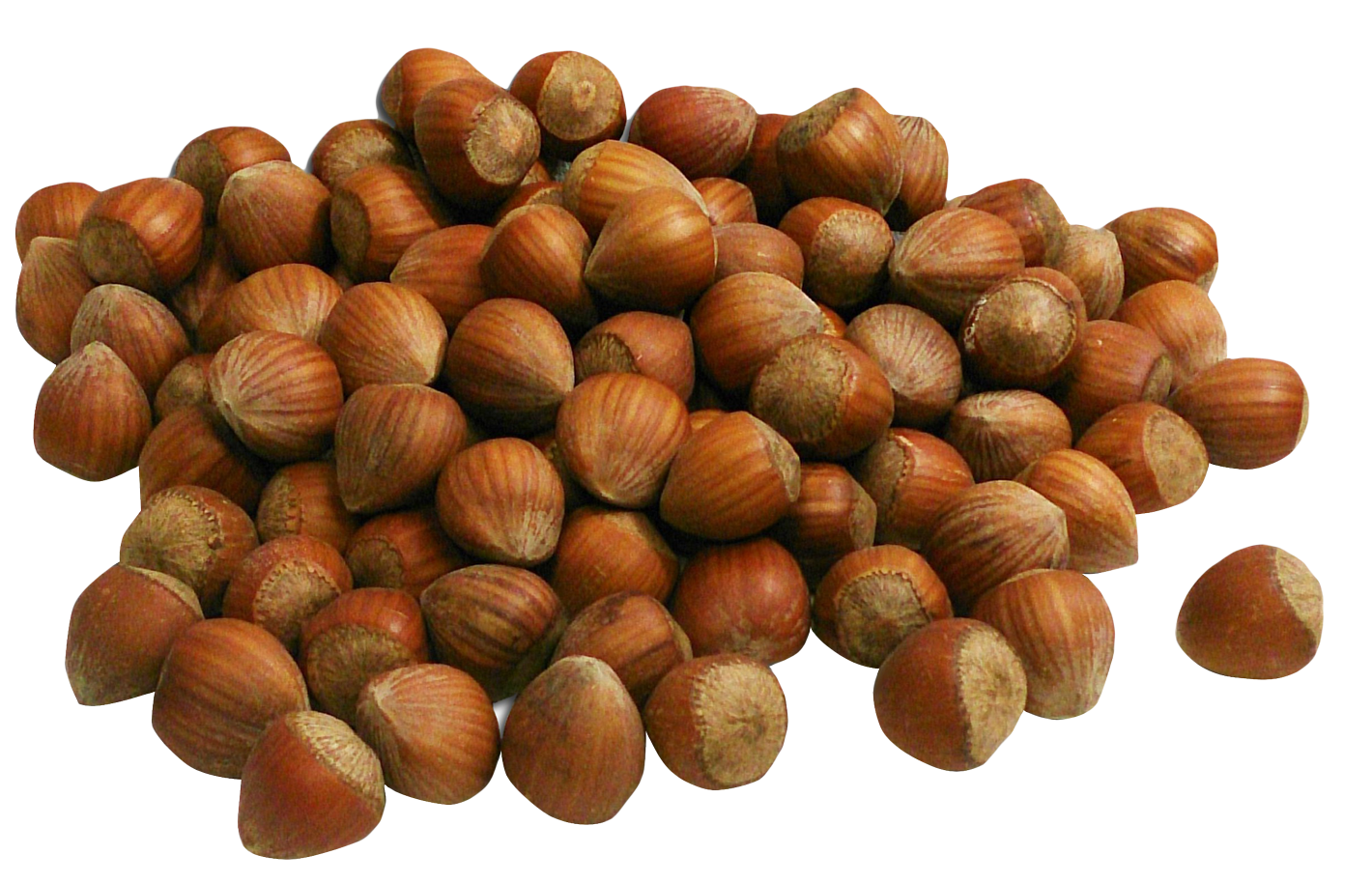 Photos Edible Hazelnut Download Free Image PNG Image