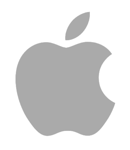 Apple Format Grey Logo Macintosh Icon Icon