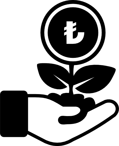 Investment Turkish Lira Icon