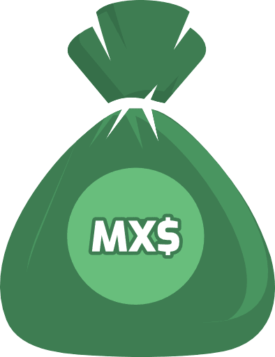 Money Bag Mexican Peso Color Icon