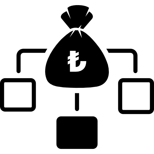 Turkish Lira Income Distribution Icon