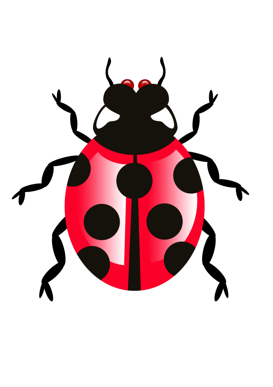 Bug Icon Transparent Icon