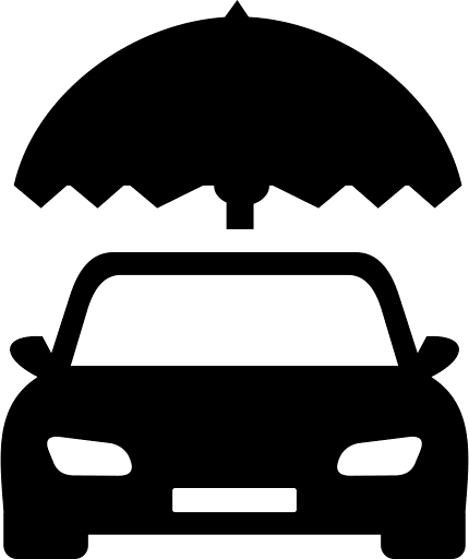 Car Insurance Cover Icon