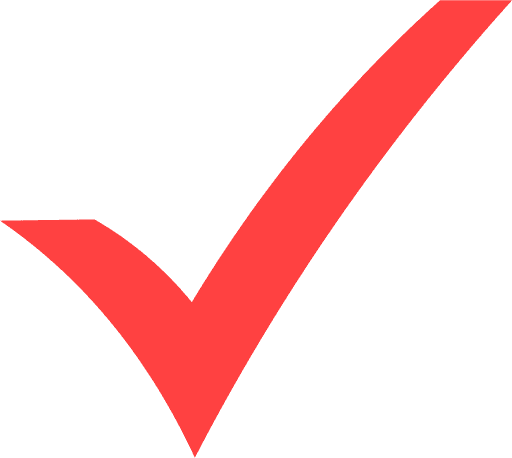 Red Check Mark Icon