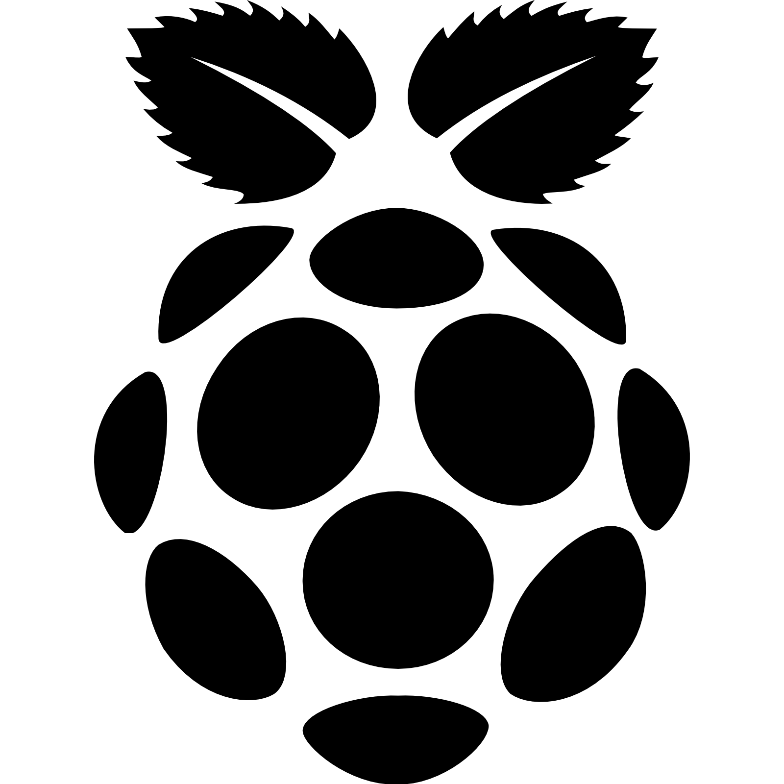 Web Raspberry Icons Computer Pi Raspbian Browser Icon