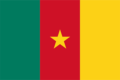 Cameroon Flag Icon